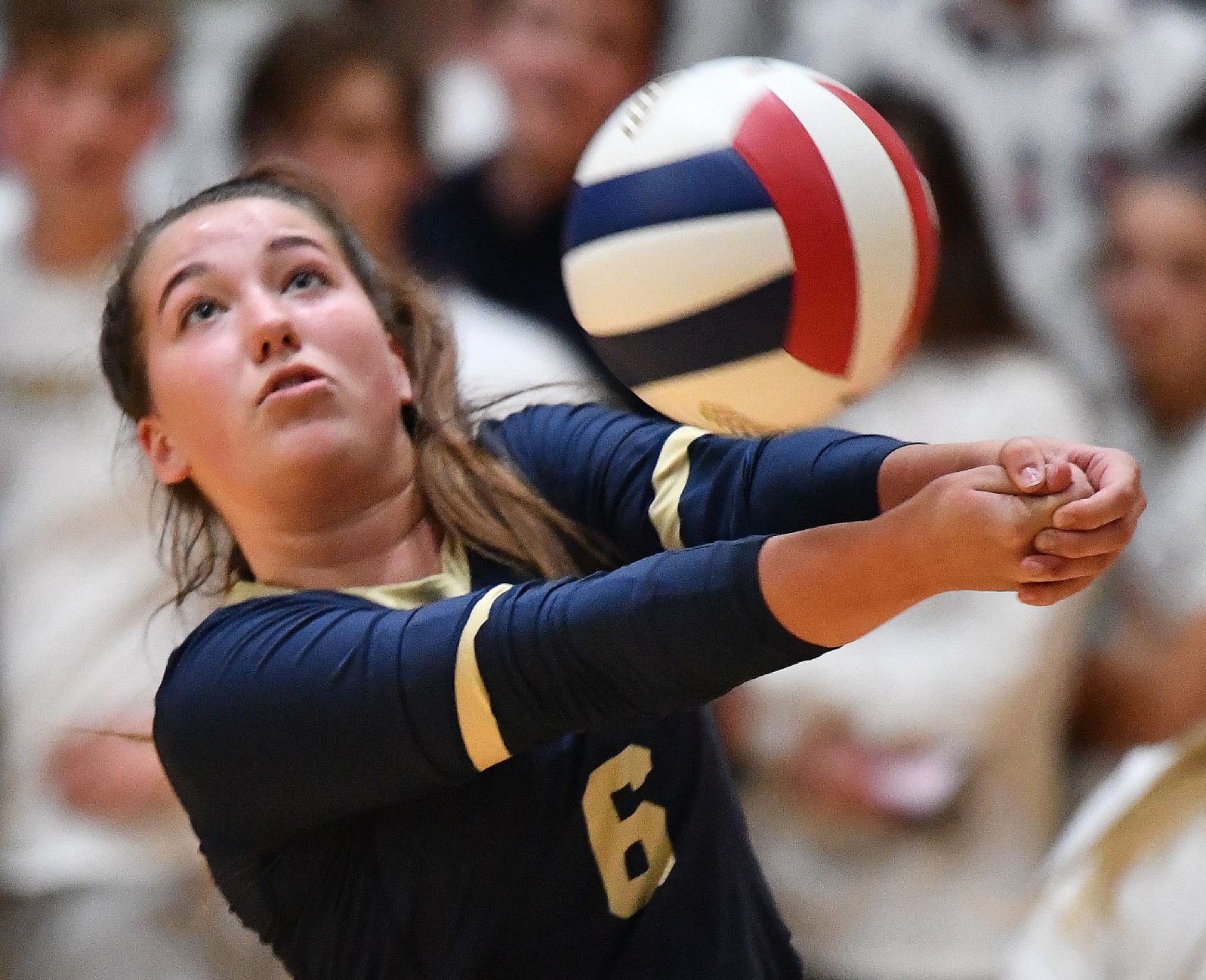 Edwardsville vs Althoff 4A Volleyball Sectional Semifinal